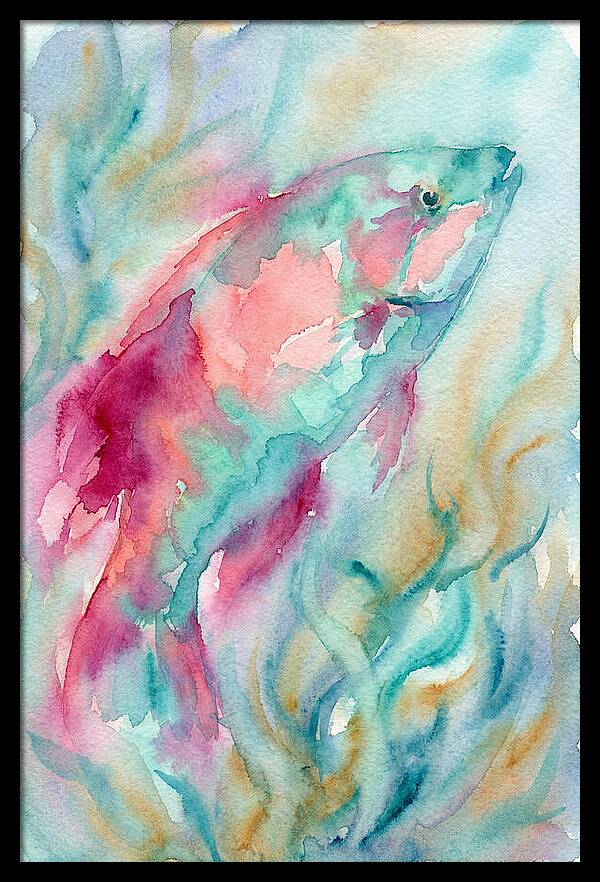 Colorful Wrasse Underwater
