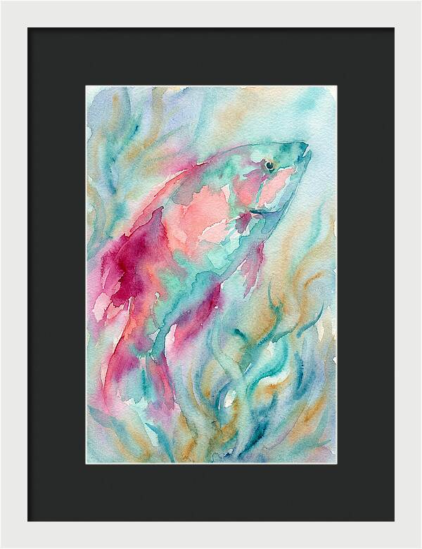 Colorful Wrasse Underwater