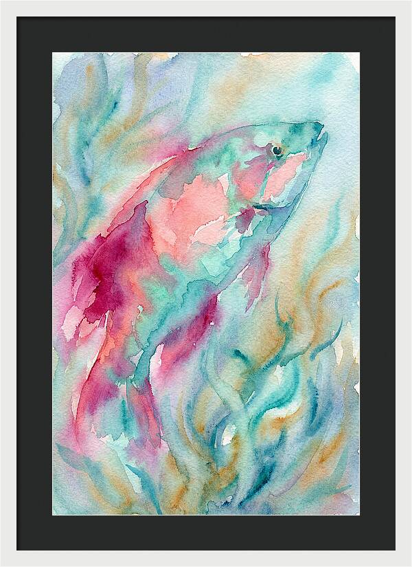Colorful Wrasse Underwater