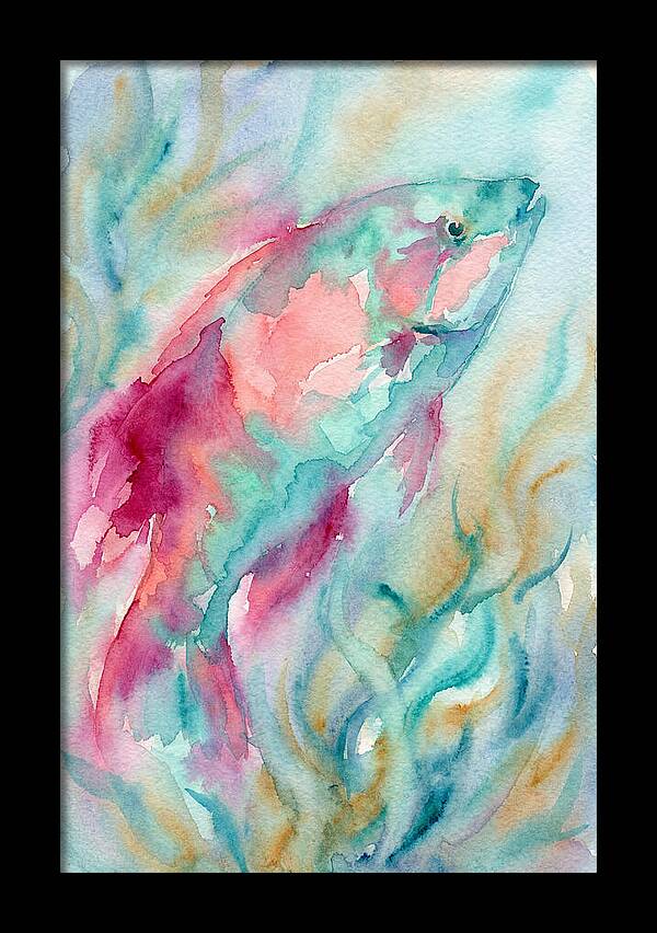 Colorful Wrasse Underwater