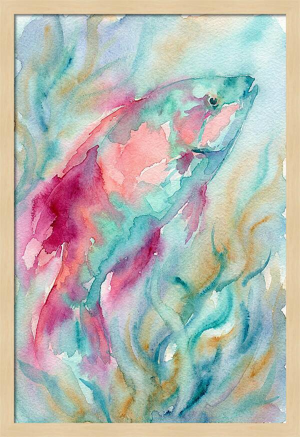 Colorful Wrasse Underwater
