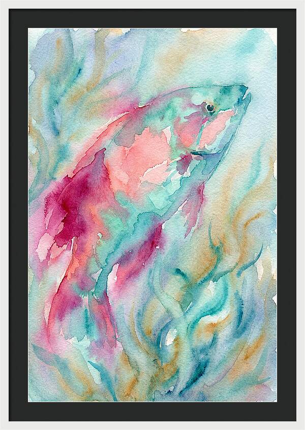 Colorful Wrasse Underwater