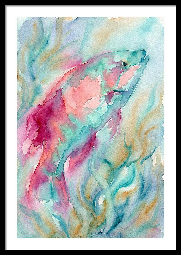 Colorful Wrasse Underwater