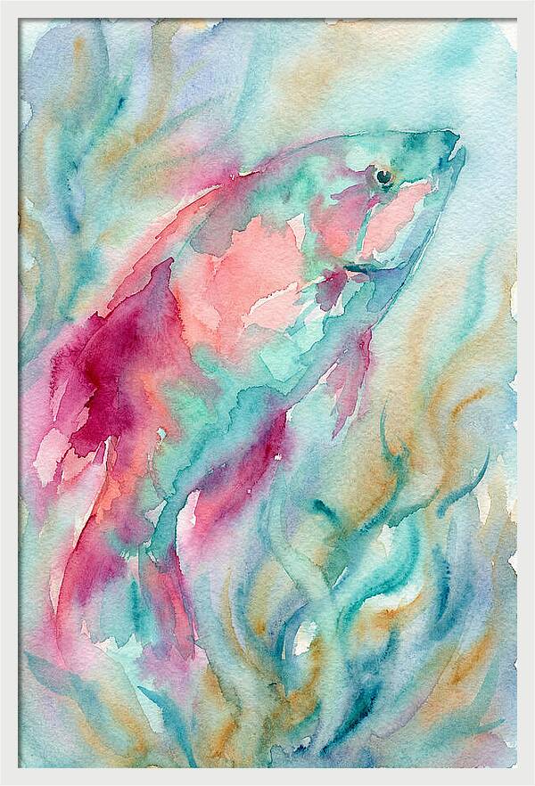 Colorful Wrasse Underwater