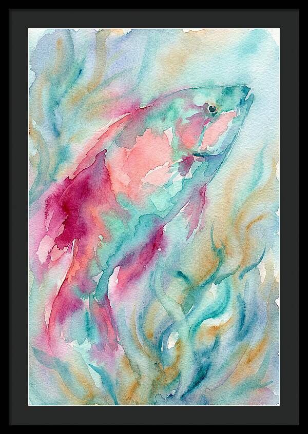 Colorful Wrasse Underwater
