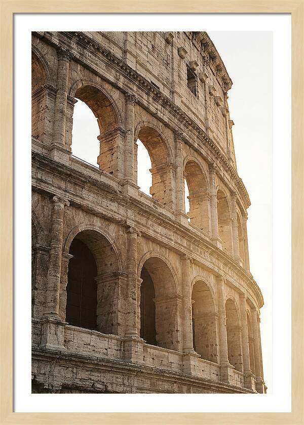 Colosseum Arches Bathed In Warmth