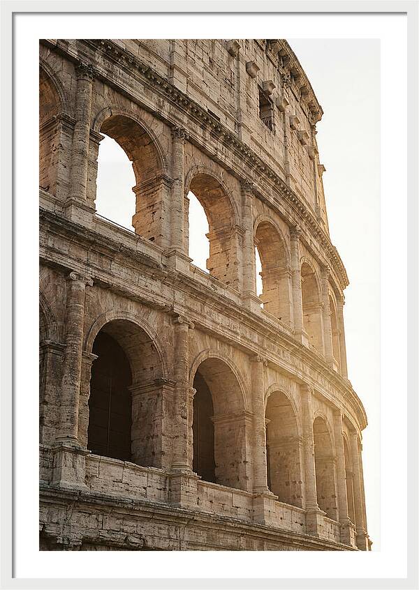 Colosseum Arches Bathed In Warmth