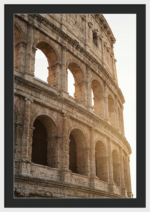 Colosseum Arches Bathed In Warmth