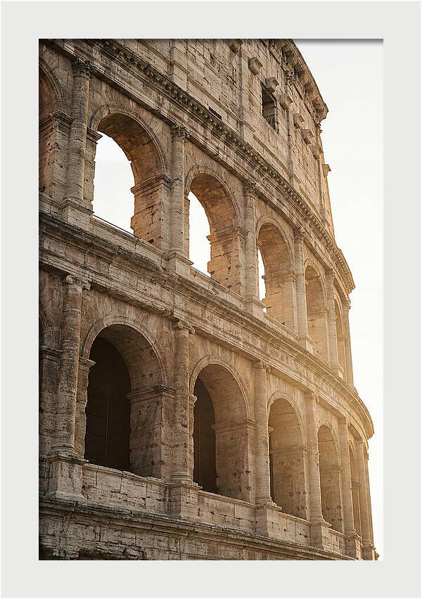 Colosseum Arches Bathed In Warmth