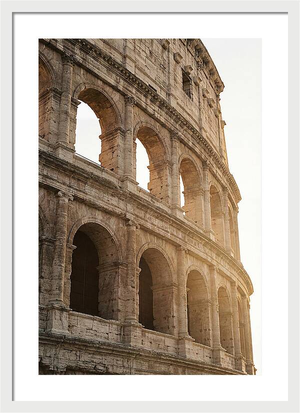 Colosseum Arches Bathed In Warmth