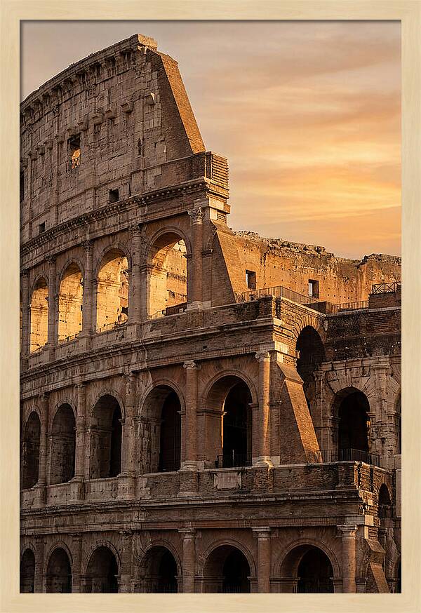 Colosseum At Sunset