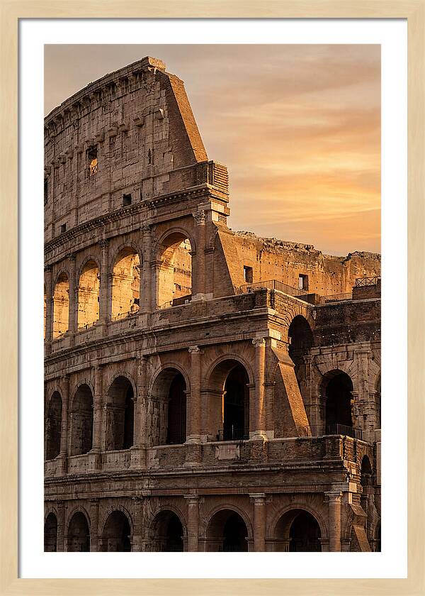 Colosseum At Sunset