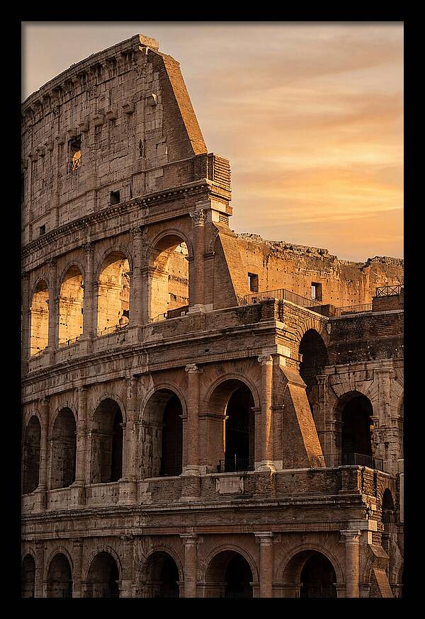 Colosseum At Sunset