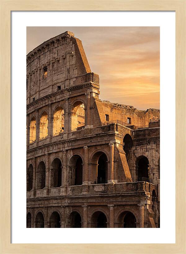 Colosseum At Sunset