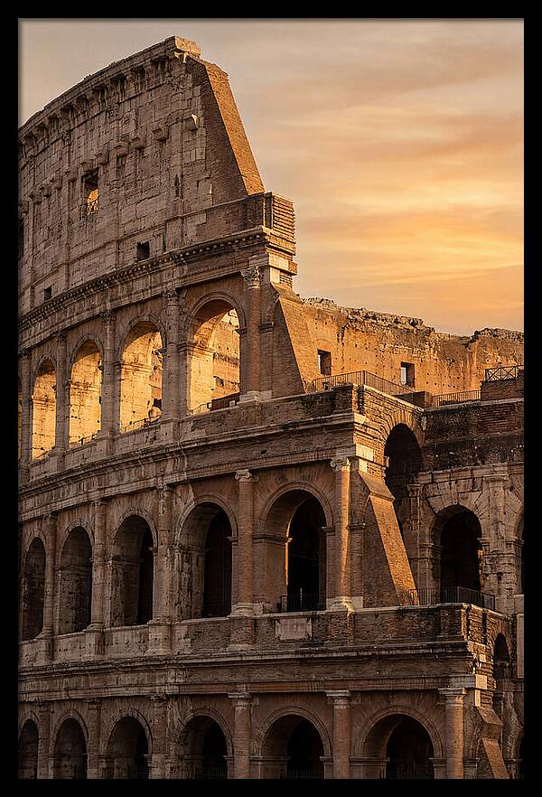 Colosseum At Sunset