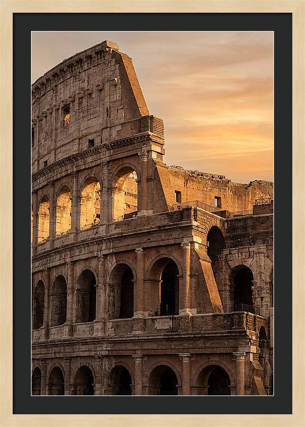 Colosseum At Sunset