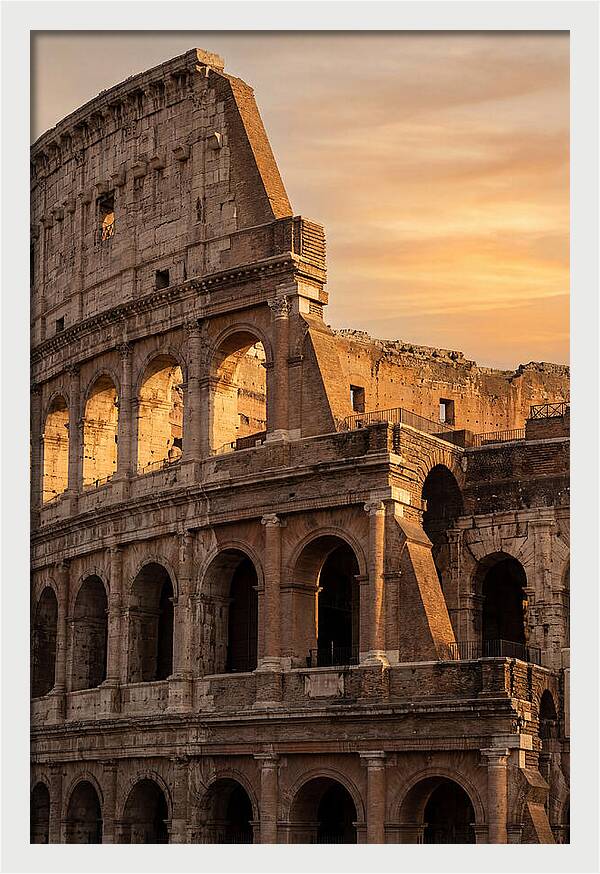 Colosseum At Sunset