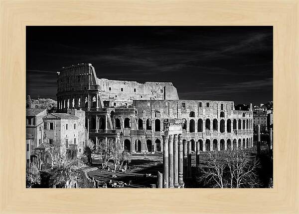 Colosseum Bathed In Sunset Light