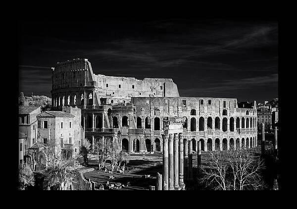 Colosseum Bathed In Sunset Light