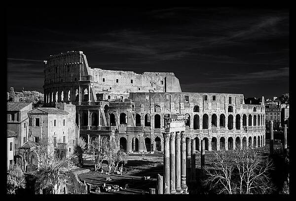 Colosseum Bathed In Sunset Light