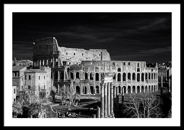 Colosseum Bathed In Sunset Light