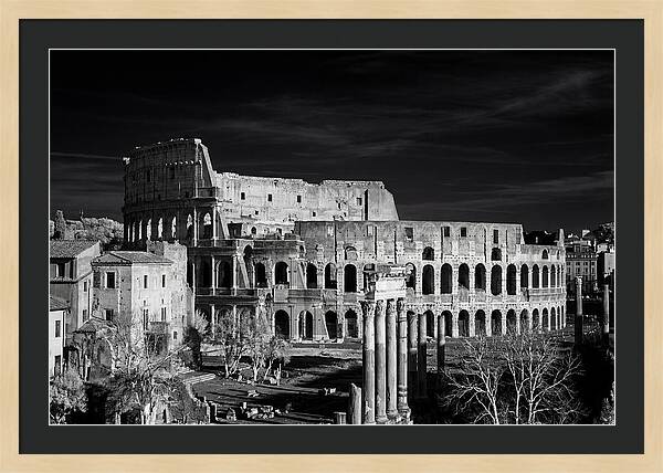 Colosseum Bathed In Sunset Light