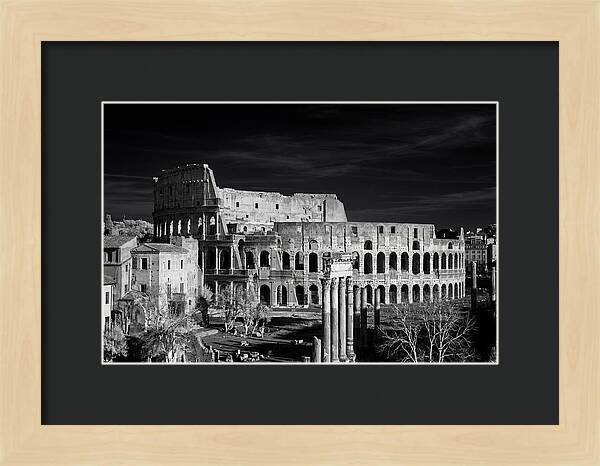 Colosseum Bathed In Sunset Light
