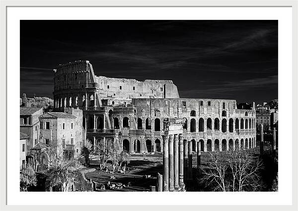 Colosseum Bathed In Sunset Light