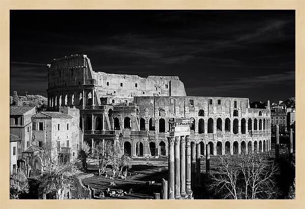 Colosseum Bathed In Sunset Light