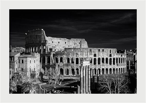Colosseum Bathed In Sunset Light