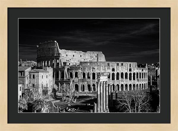 Colosseum Bathed In Sunset Light