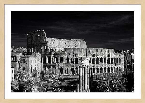 Colosseum Bathed In Sunset Light