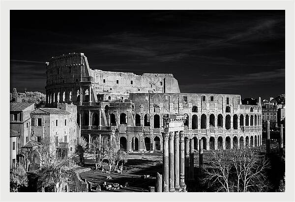 Colosseum Bathed In Sunset Light