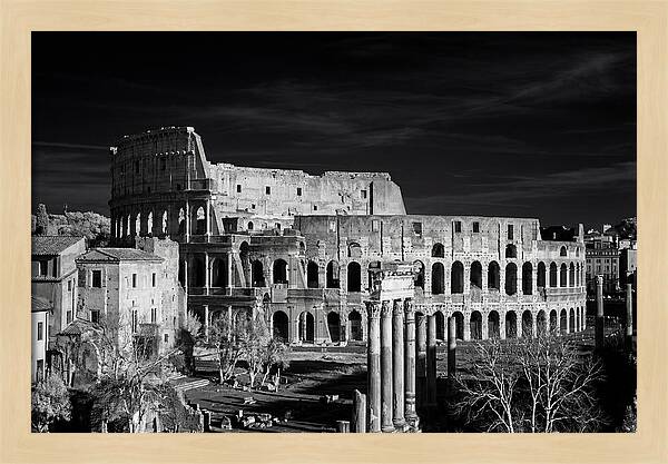 Colosseum Bathed In Sunset Light