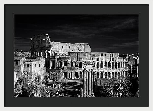 Colosseum Bathed In Sunset Light