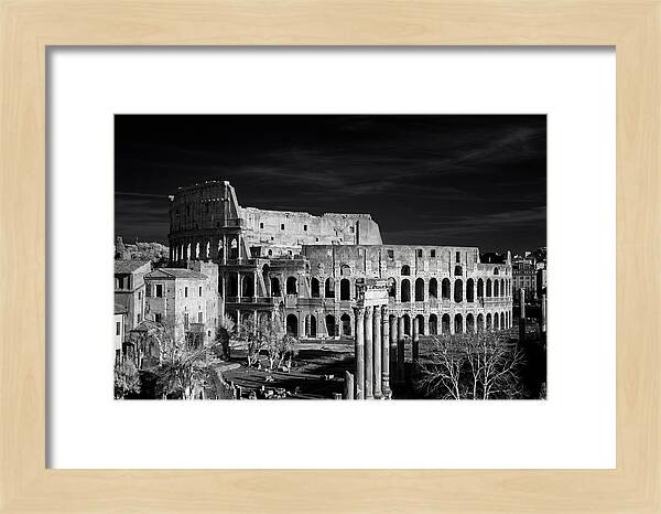 Colosseum Bathed In Sunset Light