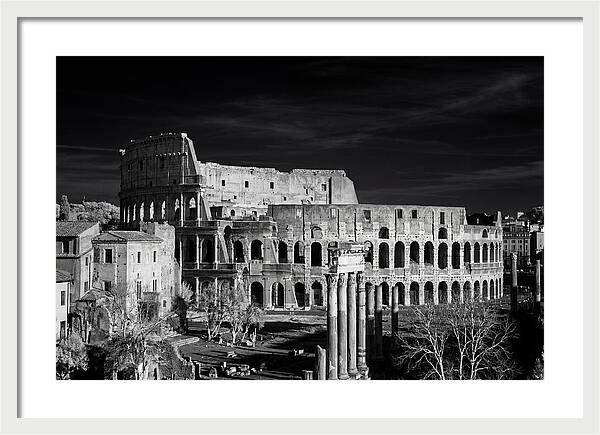 Colosseum Bathed In Sunset Light
