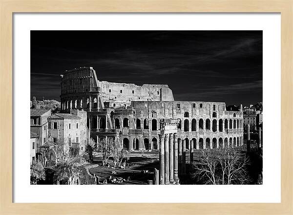 Colosseum Bathed In Sunset Light