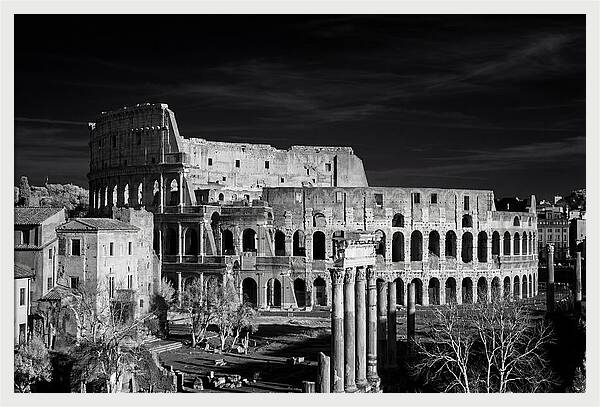 Colosseum Bathed In Sunset Light