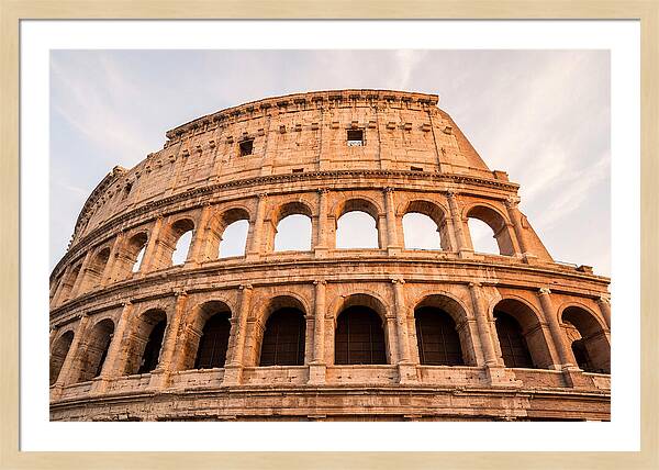 Colosseum Illuminated By Dusk