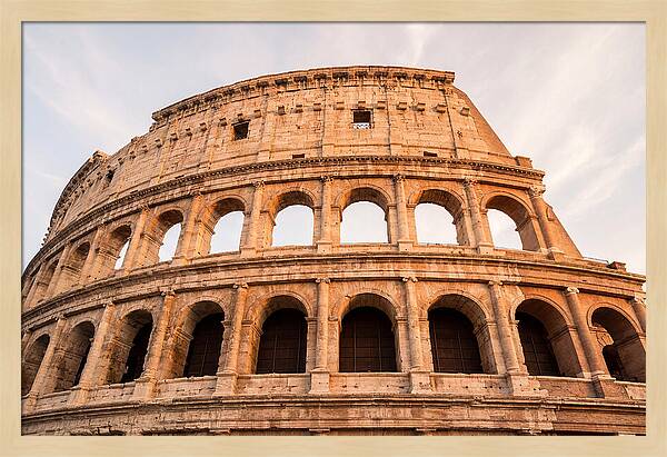 Colosseum Illuminated By Dusk