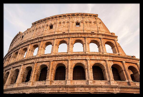 Colosseum Illuminated By Dusk