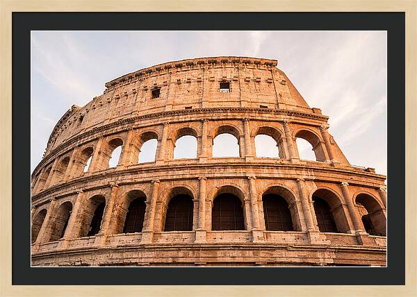 Colosseum Illuminated By Dusk