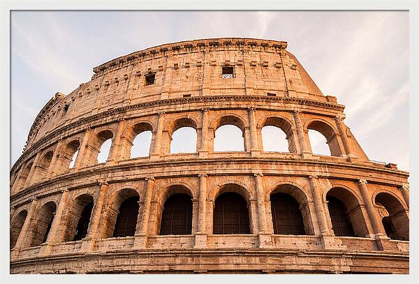 Colosseum Illuminated By Dusk
