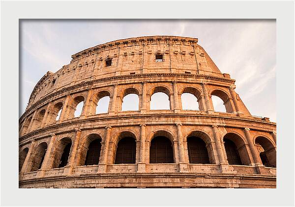 Colosseum Illuminated By Dusk