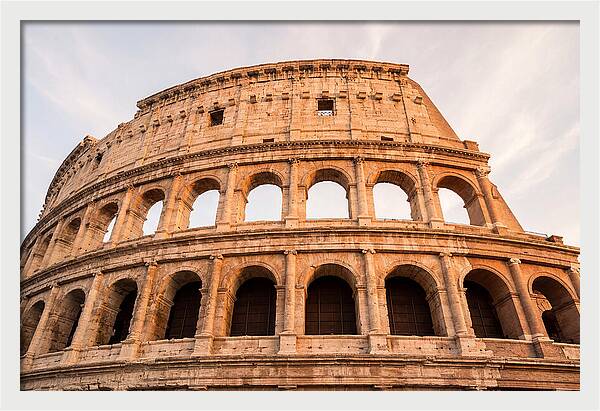 Colosseum Illuminated By Dusk