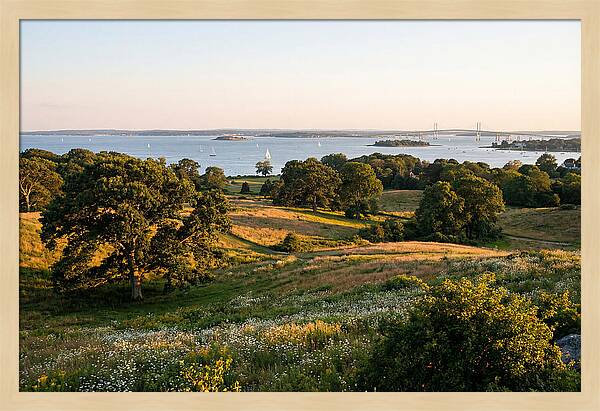 Colt State Park Serenity