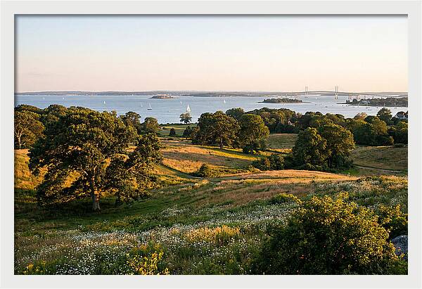 Colt State Park Serenity