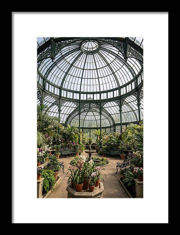 Como Park Conservatory Oasis