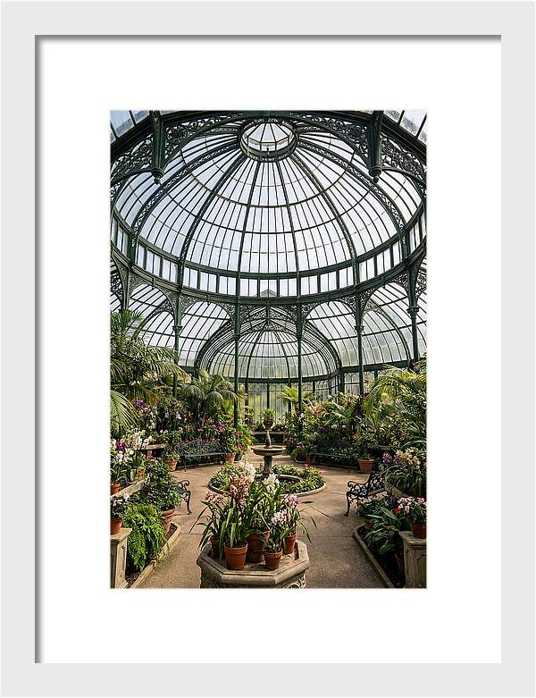 Como Park Conservatory Oasis
